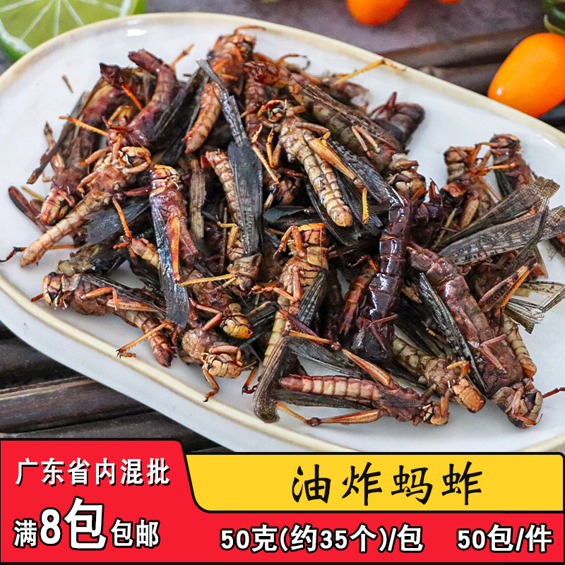 麒少油炸蚂蚱香酥蚂蚱蝗虫商用烧烤下酒菜零食小吃昆虫蚱蜢虫子