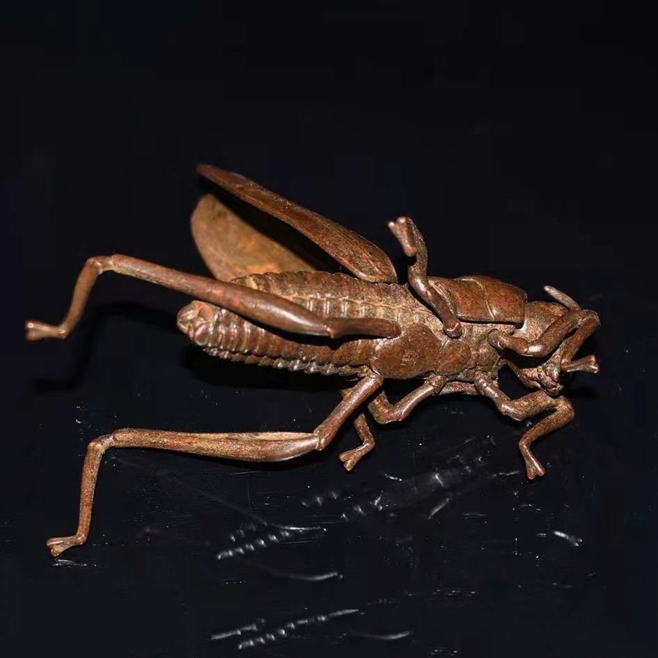 纯铜仿真昆虫蚂蚱蝗虫翅膀可活动实心紫铜茶宠古玩小铜器铜雕把件