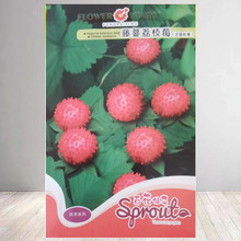 蛇莓种子红色野草莓种子四季易种阳台园艺花种子观果花海花籽