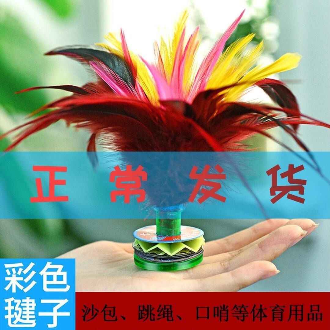鸡毛毽子体育用品成人儿童大花毽耐踢健身毽子鹅毛鹅毛毽子中学生