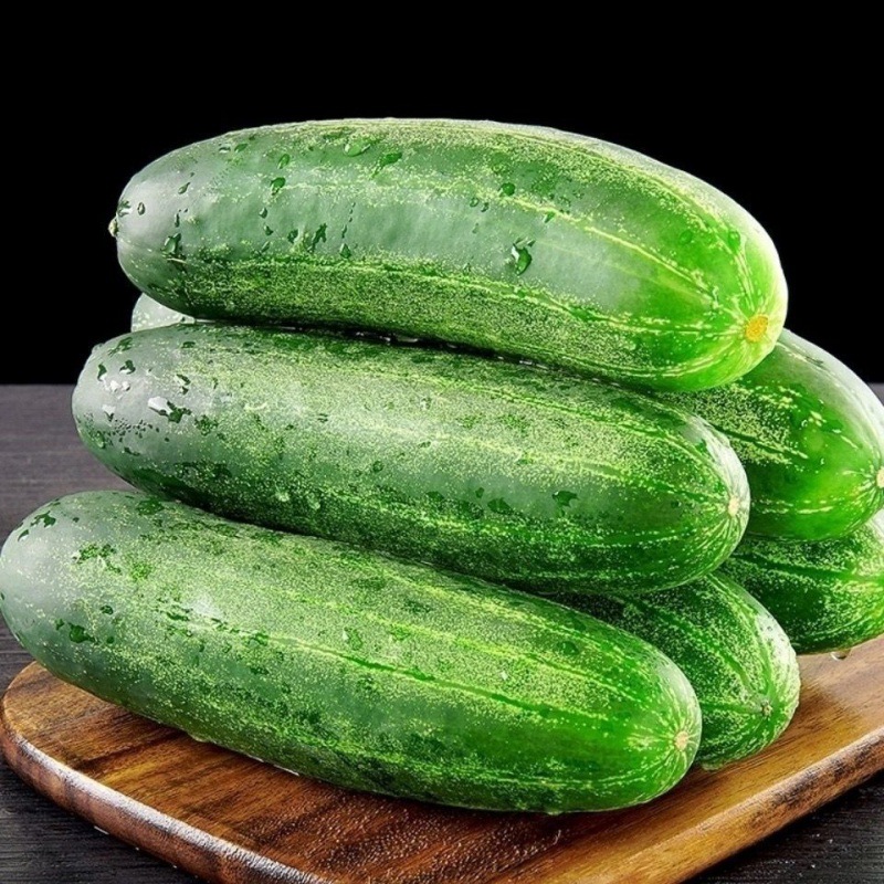 闽南农家自种新鲜黄瓜青瓜土黄瓜吊瓜老黄瓜露天种植非水果黄瓜哦