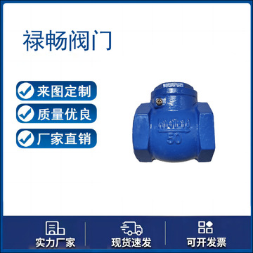 丝扣螺纹止回阀h14t-10/16q 球墨铸铁丝扣止逆阀 dn25-dn100