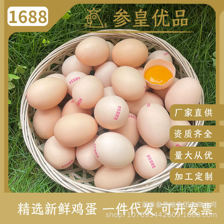参皇富硒鸡蛋新鲜30枚农家土鸡蛋正宗散养土鸡蛋整箱批发一件代发