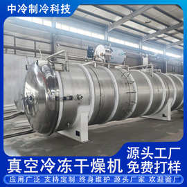 食品级真空冷冻干燥机商用宠物食品中药材冻干设备果蔬冻干机厂家