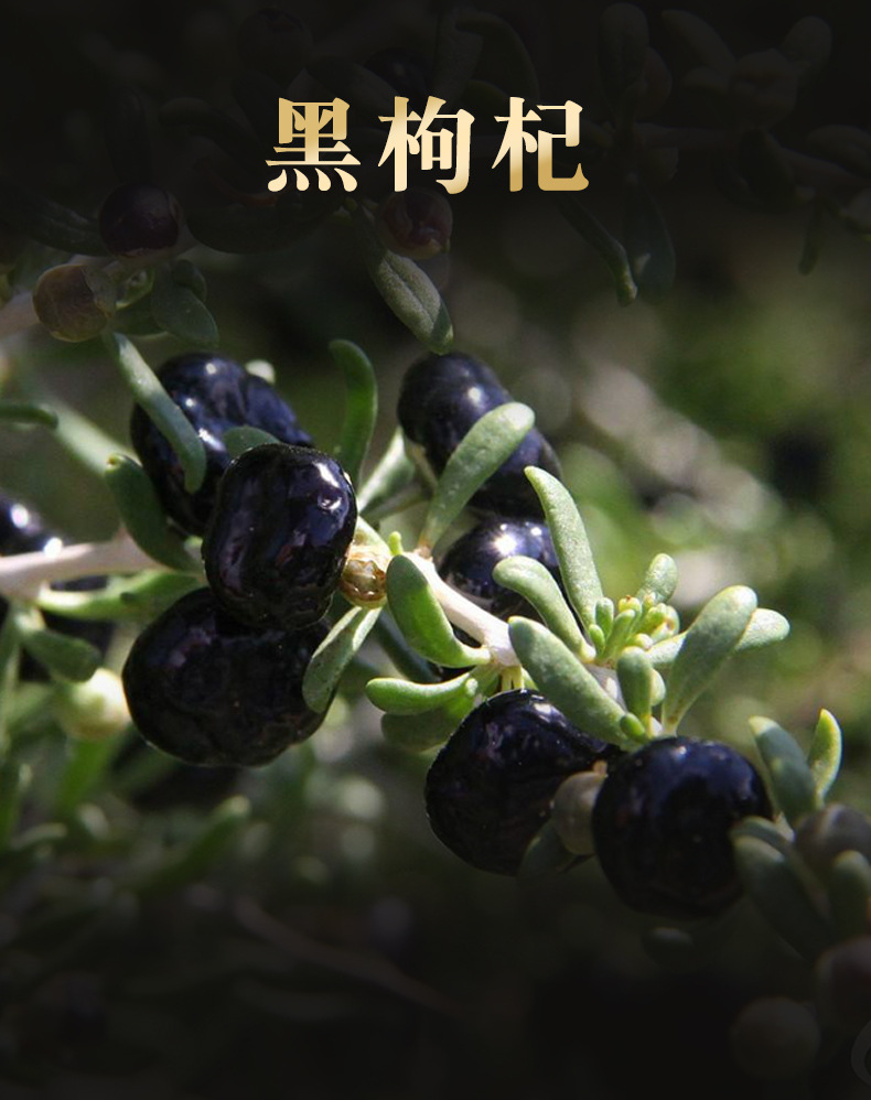 青海黑枸杞人工挑选除杂干净可直接泡茶黑枸杞现货批发