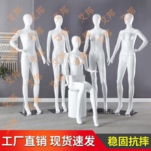 男女模型服装假人道具邮模模特内裤服装店展示包全身内衣白架子烤