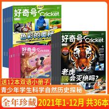 好奇号杂志2021-2024年青少年科学自然历史探秘中英双语科普订阅