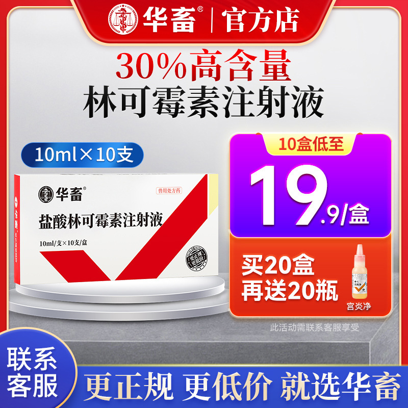 华畜兽药盐酸林可霉素注射兽用液母猪产后消炎牛羊咳嗽支原体针剂