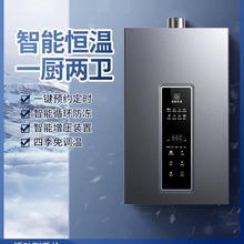 燃气热水器电家用12升16升天然气煤气液化强排恒温变频洗澡