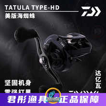 DAIWA 达瓦美版日版海蜘蛛 TATULA TYPE-HD 雷强海钓水滴轮