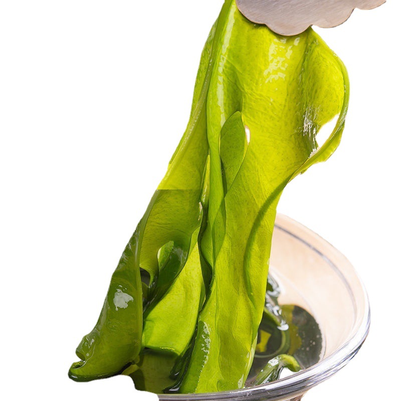 盐渍裙带菜海白菜干货斤即食麻辣烫火锅嫩芽凉拌海带