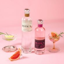 西班牙药剂师原瓶金酒BOTICA DRY GIN700ml 进口洋酒调味酒系列金