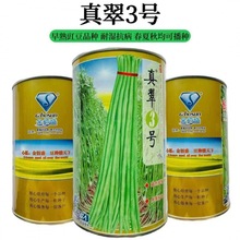 真翠3号豇豆种子真正翠绿长豆角种籽 高产耐热耐湿特长绿豆角种孑