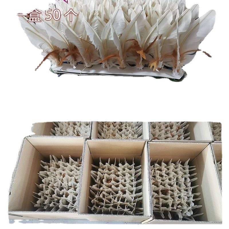 大白毽子成人健身白色鹅毛鸡毛毽牛筋底儿童小学生比赛毽球毽批发