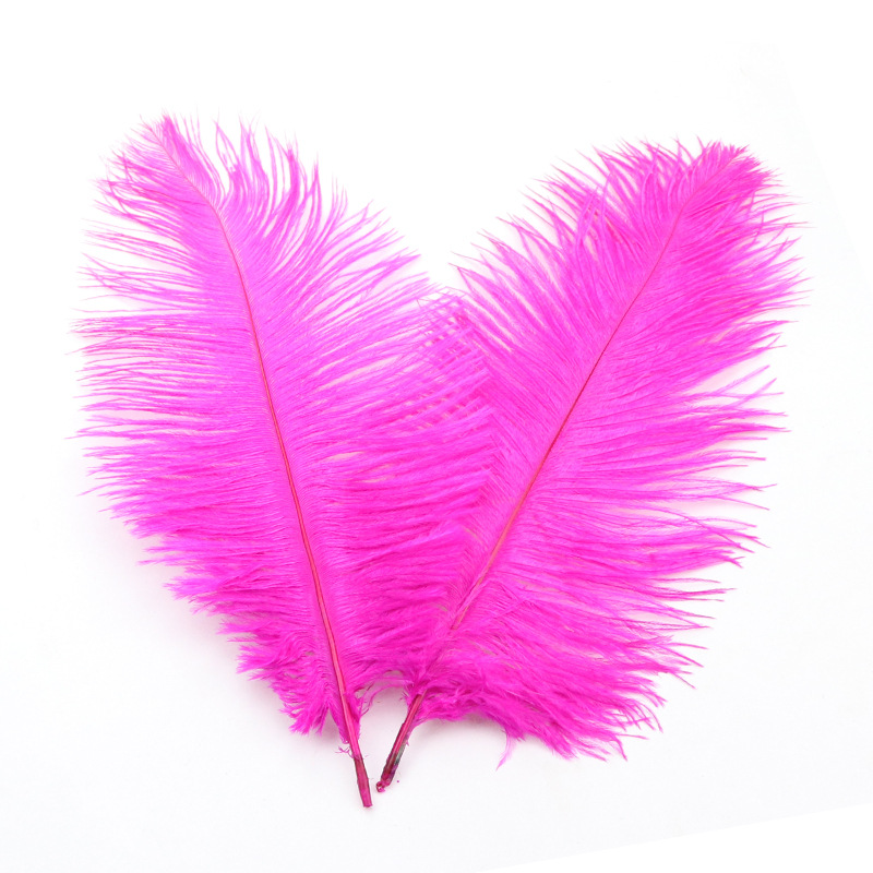 Ostrich Feather Internet-Famous Wall 25-30cm Colorful Feather Wedding Wedding Decoration Lamp Table Decoration Feather