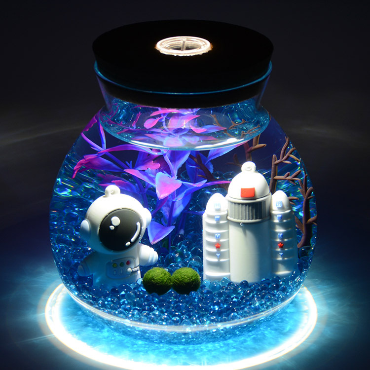 包邮marimo海藻球微景观球藻水培植物水藻球盆栽植物办公桌面植物