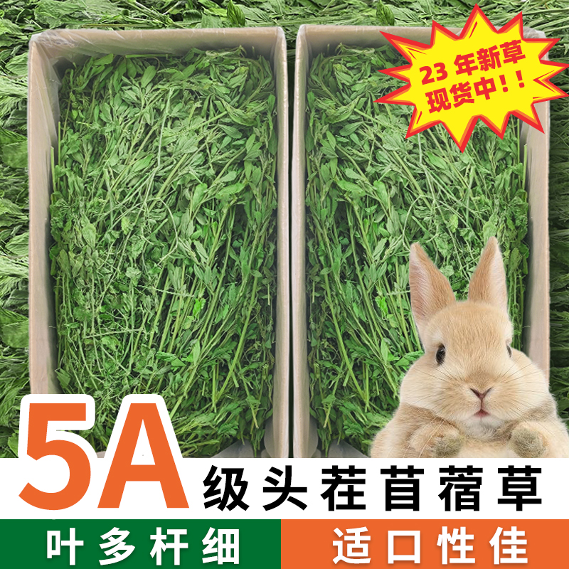 苜蓿草兔子粮草紫花干草幼兔食用龙猫豚鼠吃的粮食苜宿草兔粮饲昕