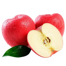 甘肃瑞阳苹果新鲜当季苹果包邮非洛川烟台红富士苹果一件代发