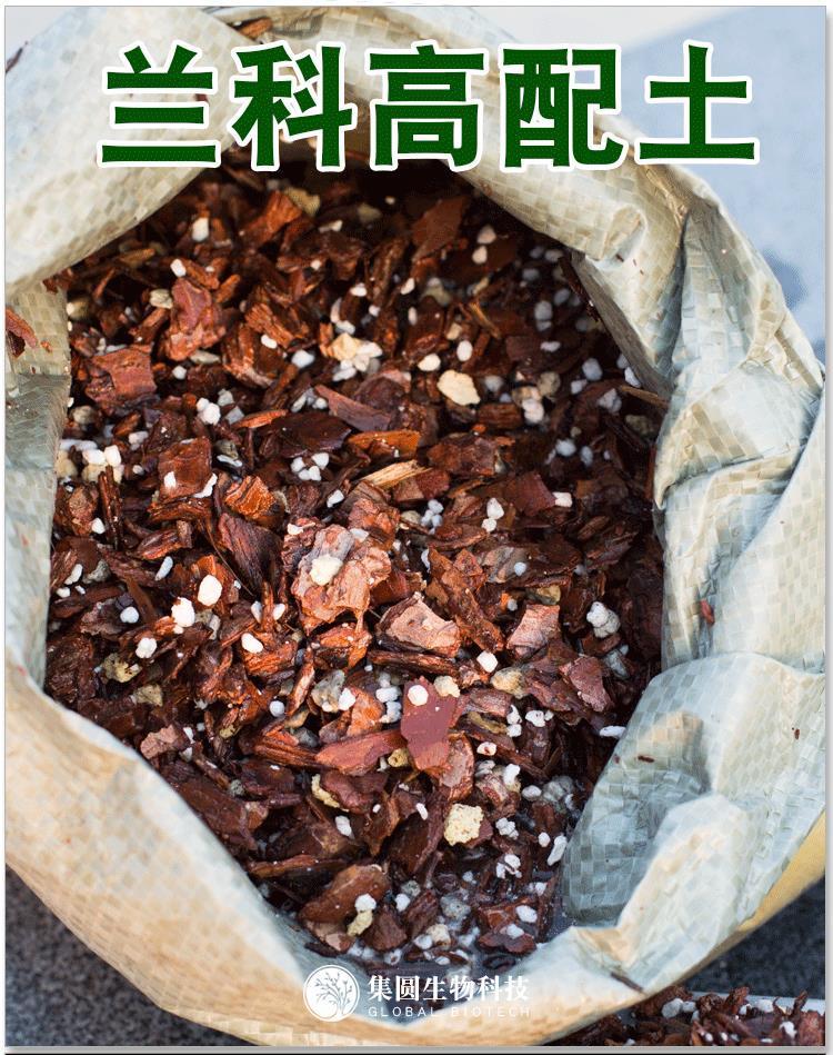 尊贵版兰花专用土疏松透气君子兰铁皮石斛蝴蝶兰松树皮营大量批发