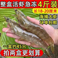 顺丰4斤青岛大虾鲜活新鲜特大海鲜水产青白虾甜虾冷冻基围虾