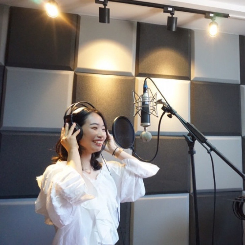 窗户隔音板隔音棉自粘录音棚琴房鼓房隔音墙贴吸音棉家用房间门窗