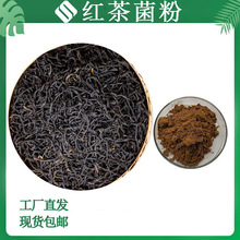 红茶菌粉 红茶发酵菌粉 康普茶粉 红茶醋酸菌 酵母菌 现货1kg起订