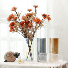 欧式简约小清新玻璃花瓶离子镀炫彩透明花器客厅装饰摆件水培家居