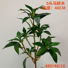 北欧风室内造景仿真马醉木绿植尤加利叶干花摆件万年青假植物盆栽