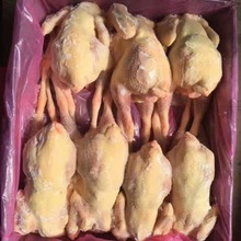 整鸡的冷冻批发新鲜东北老母鸡黄油老母鸡红毛老鸡7-9只一箱20斤
