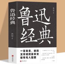 鲁迅经典 鲁迅的散文小说杂文作品集鲁迅散文集现代文学阅读书