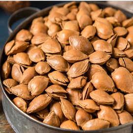 新疆特产 小银杏核坚果 干果开口手剥小白杏 即食杏核 500g袋装