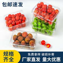 一次性水果打包盒透明塑料包装盒外卖果切盒子带盖商超果蔬盒批发