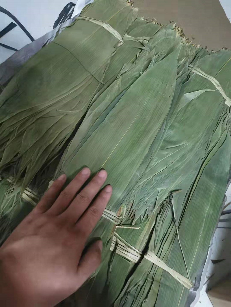 粽叶批发50斤整捆箬叶麻竹叶廖叶芦苇叶包粽子粽子叶商用统货新鲜
