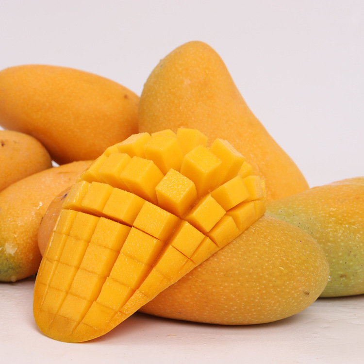 海南金煌芒水仙芒果整箱现摘新鲜大芒果热带水果三亚甜心芒包邮10
