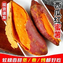 西瓜红蜜薯河南红薯红心番薯板栗沙地种植软糯香甜烤地瓜3/5/9斤
