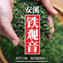 2023年新茶安溪乌龙茶铁观音茶叶浓香高山兰花香罐装100g抖音快手