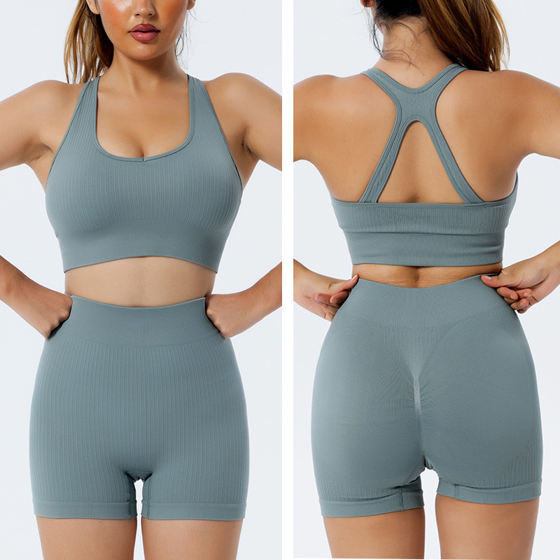 Long Sleeve Nylon Yoga Suit Women's Sexy Shockproof Yoga Vest Sports Underwear High Waist Workout Yoga Pants