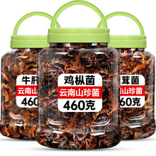 香蕈鸡枞牛肝松茸菌460g瓶装菌云南特产即食菌山珍菌蘑菇下饭批发