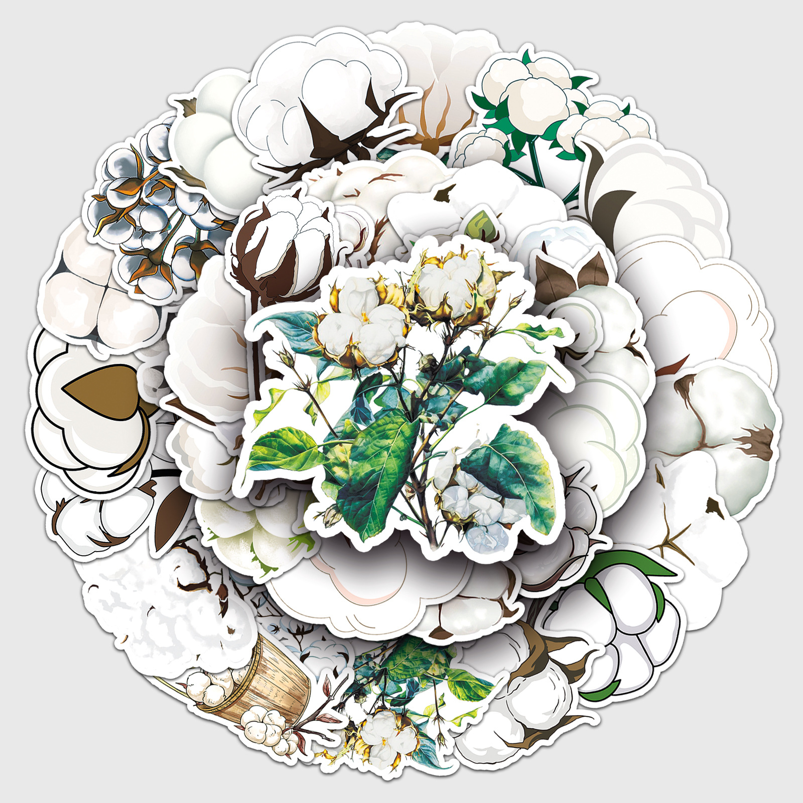 77起批量1-99包100-999包≥1000包权益登录查看是否享首单包邮或首单