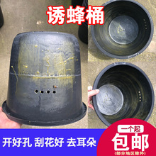 峰桶蜂桶圆桶引蜂桶诱蜂桶黑色塑料桶专用带盖涂蜡蜜蜂箱养蜂收捕