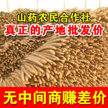 铁棍山药怀山新鲜软糯小白嘴河焦作垆土铁杆淮山批发蔬菜厂家直销