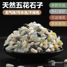 天然小石头五花彩石白色小石子鹅卵石水洗石鱼缸多肉花盆铺面装饰