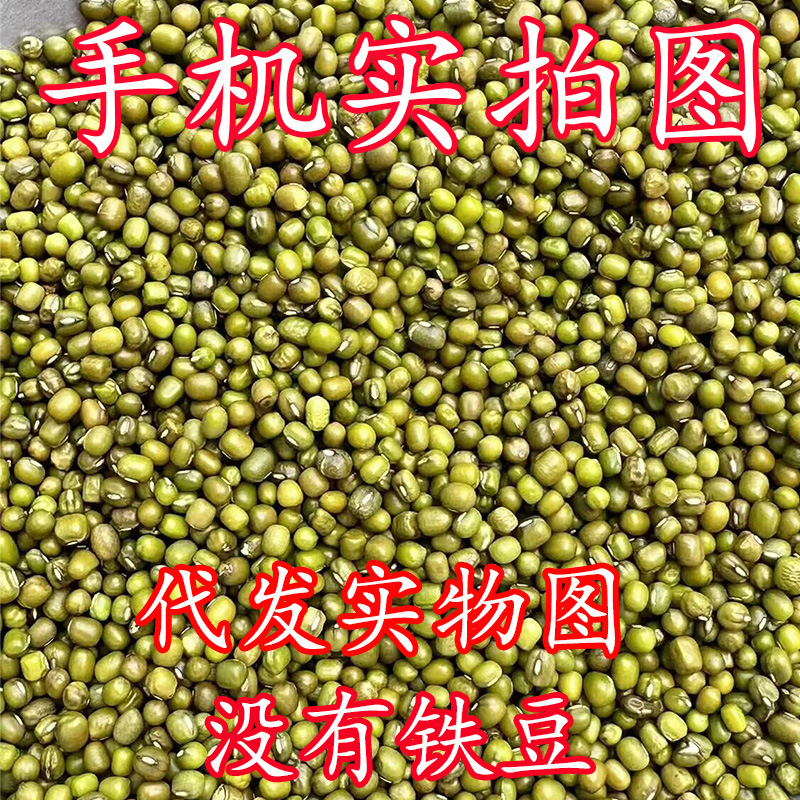 绿豆批发一件代发新货绿豆量大从优糕饼笨绿豆汤粥易熟新鲜绿豆