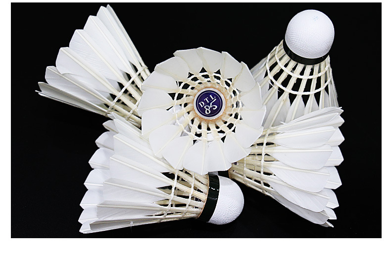 亚狮龙/rsl 大桐利系列羽毛球 dtl-81 82 83 84 85俱乐部训练用球