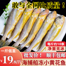 纯野小黄花鱼新鲜冷冻海鱼黄花鱼烧烤饭店海鲜500g装顺丰