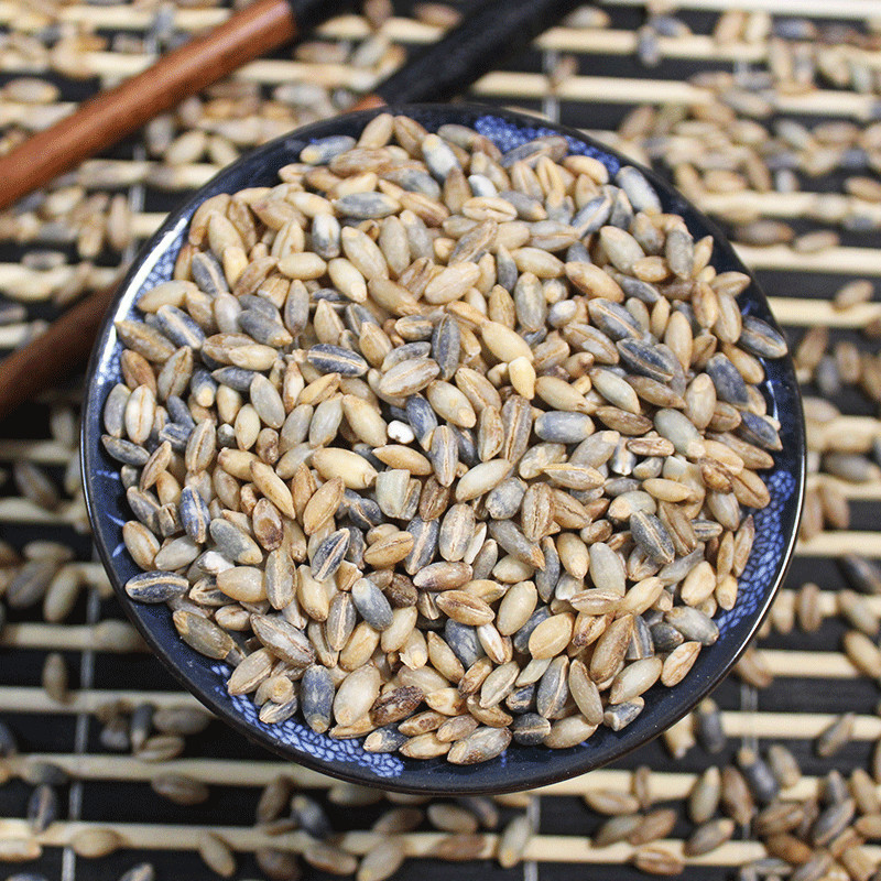 青稞米批发青海特产优质青麦仁高原青稞蓝青稞米 包邮-阿里巴巴