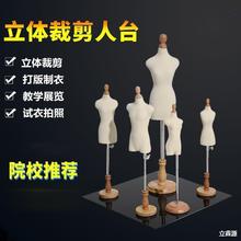 教学小人台立体裁剪女模特学生标准迷你bjd模型服装制衣设计插针