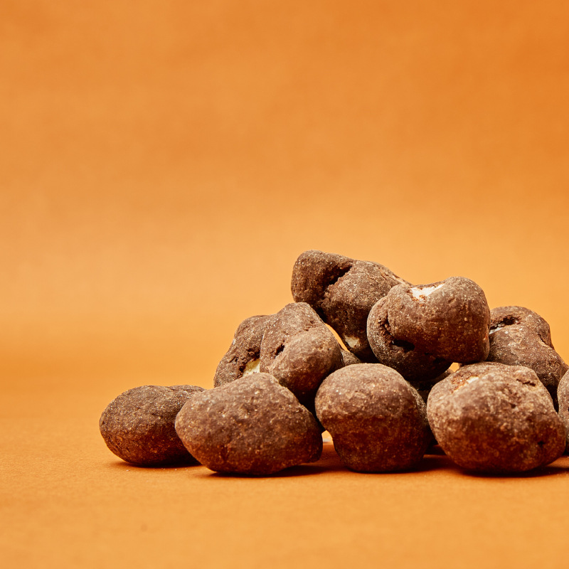 果仁可可豆厂家