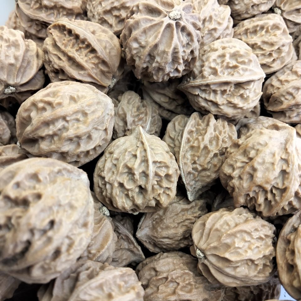 门头沟八棱野生小秋子核桃散子各种品相尺寸应有尽有手串手持脖挂