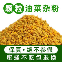 散装批发油菜蜂花粉喂蜂养蜂繁蜂蜜蜂饲料青海颗粒油菜蜂花粉蜂粮